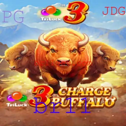 Descubra o Mundo Empolgante de 3ChargeBuffalo
