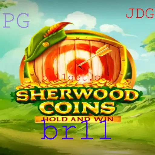 Explorando SherwoodCoins: Um Guia Completo para Jogadores